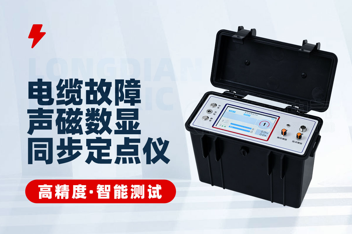 聲磁數(shù)顯同步定點(diǎn)儀 聲磁數(shù)顯同步定點(diǎn)儀